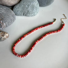 Load image into Gallery viewer, Spiney Oyster Shell Necklace